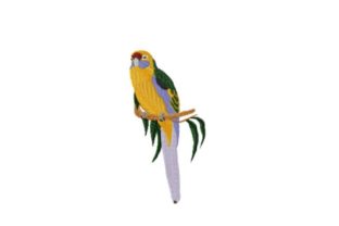 Evaluating the Green Rosella Embroidery for Boutique Apparel