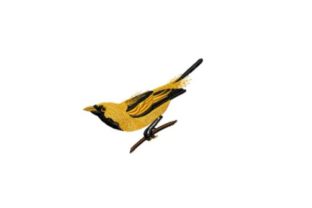Golden Haired Flycatcher: A Branding Review for Small Businesses